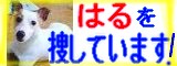 はるを探しています